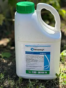 Регулятор росту Моддус 250 EC (Moddus) Syngenta 5.0 л — фунгіциди