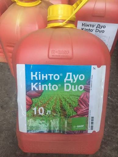 Протруйник насіння Кінто Дуо (прохлораз + тритіконазол), 10 л — BASF — протруйники