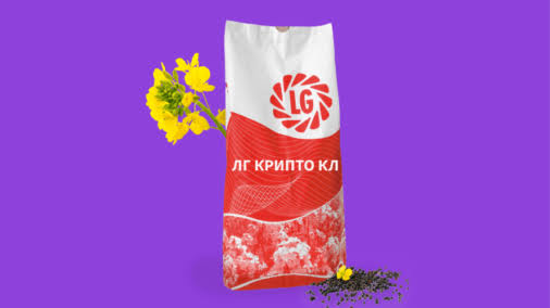 Насіння озимого ріпаку, гібрид LG Крипто КЛ — ріпак