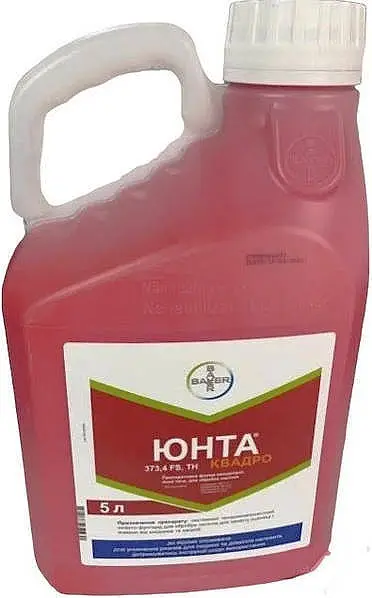 Протруйник Юнта Квадро (Yunta Quadro) Bayer 5.0 л — протруйники