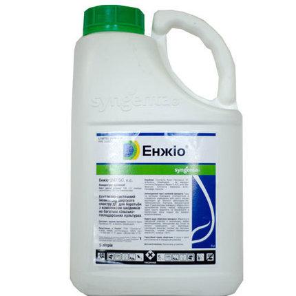 Інсектицид Енжіо 247 SC (Engeo) Syngenta 5.0 л — інсектициди